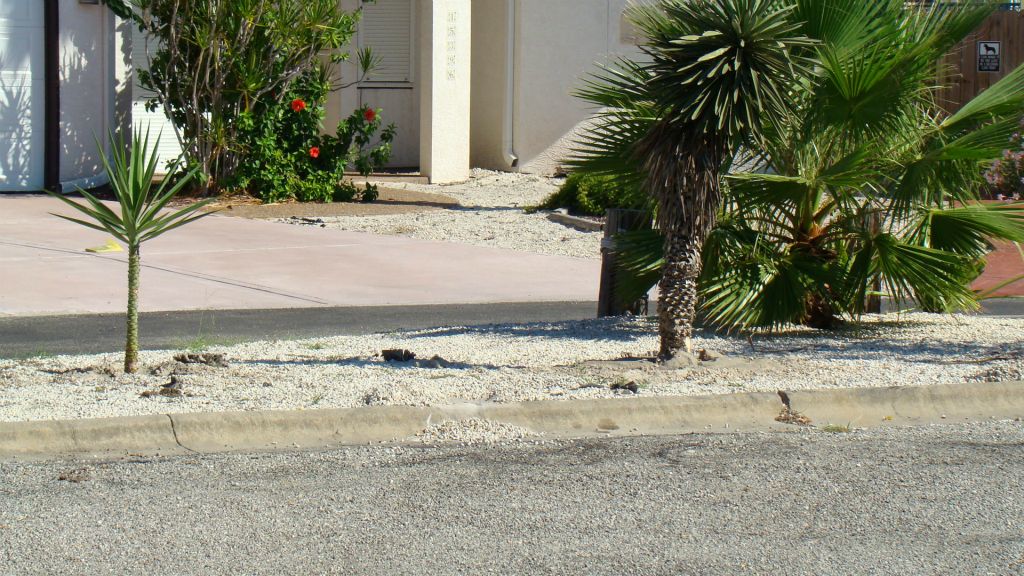 COMPLETED CONCRETE DRIVE